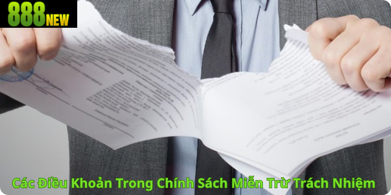 Các điều khoản trong chính sách miễn trừ trách nhiệm