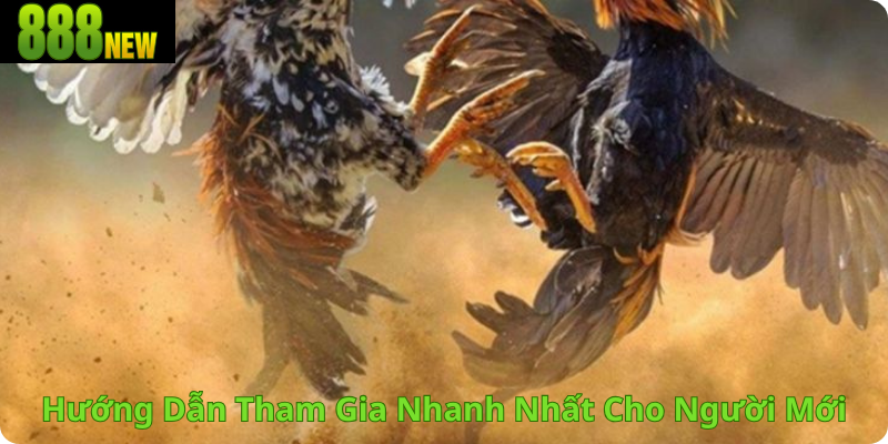 Hướng Dẫn Tham Gia Nhanh Nhất Cho Người Mới