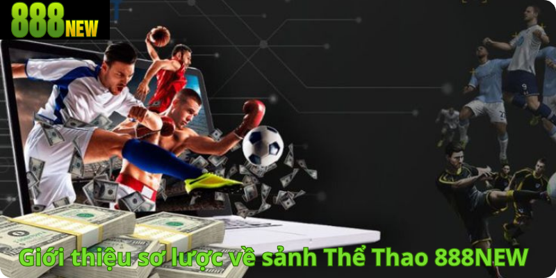 Giới thiệu sơ lược về sảnh Thể Thao 888NEW