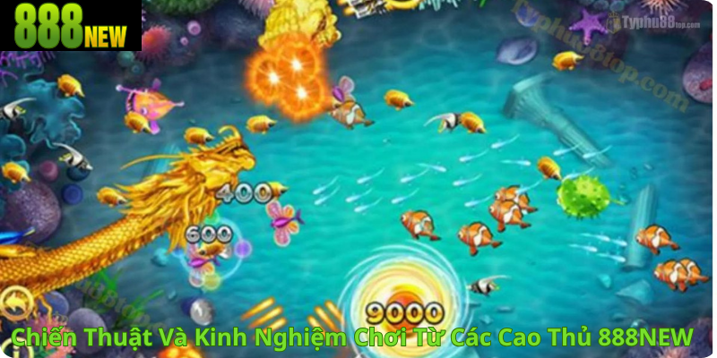 Chiến Thuật Và Kinh Nghiệm Chơi Từ Các Cao Thủ 888NEW 