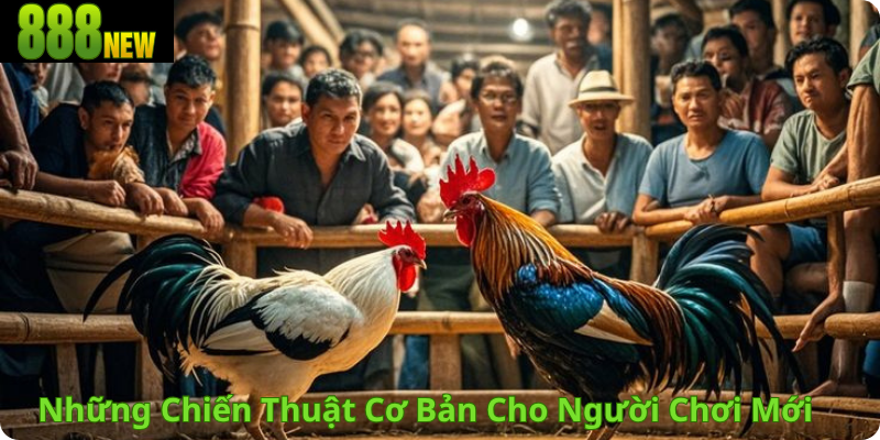 Những Chiến Thuật Cơ Bản Cho Người Chơi Mới