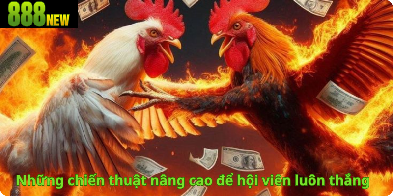 Những chiến thuật nâng cao để hội viên luôn thắng