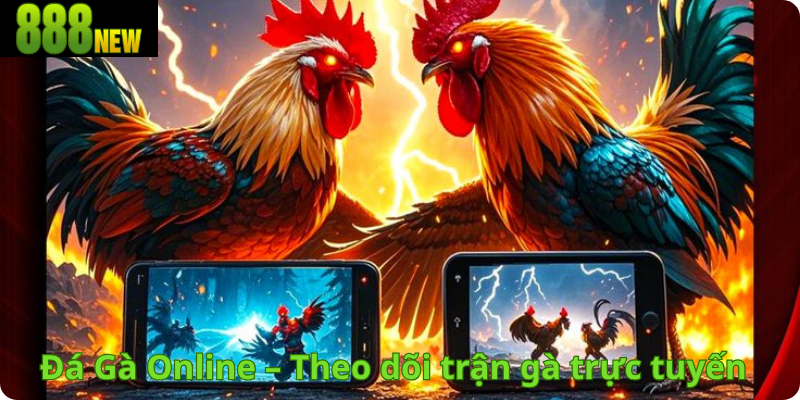Đá Gà Online – Theo dõi trận gà trực tuyến