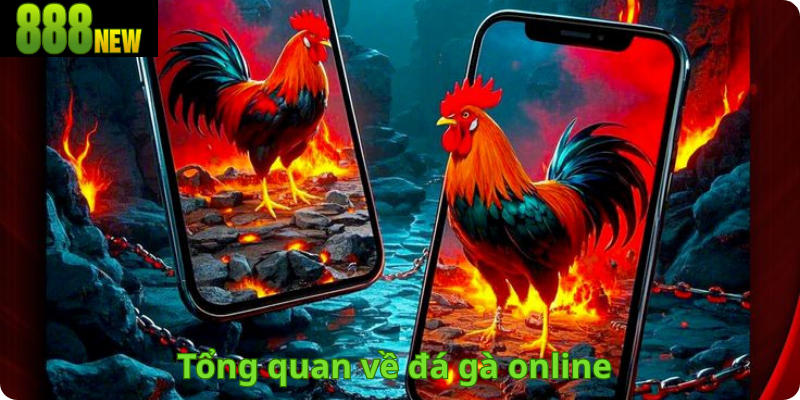 Tổng quan về đá gà online