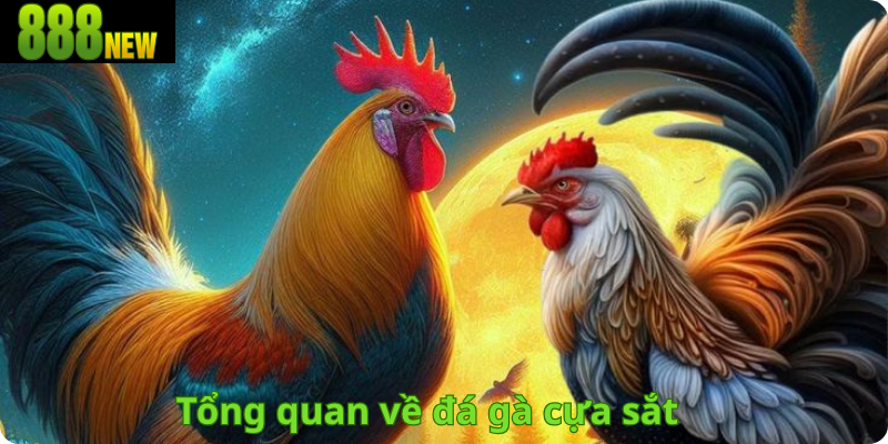 Tổng quan về đá gà cựa sắt