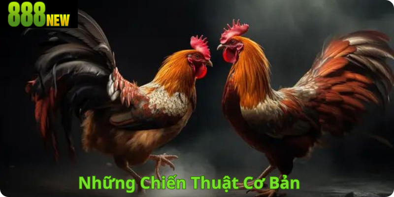 Những Chiến Thuật Cơ Bản