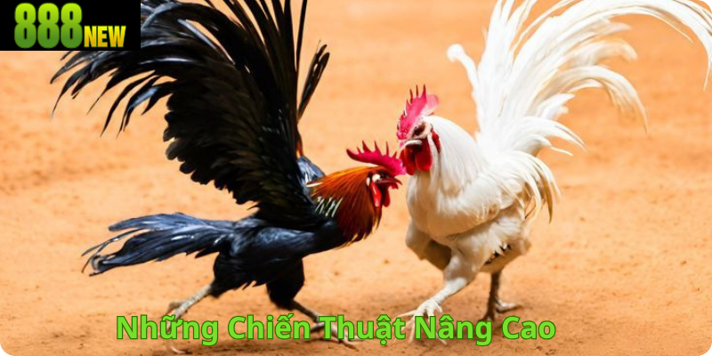 Những Chiến Thuật Nâng Cao